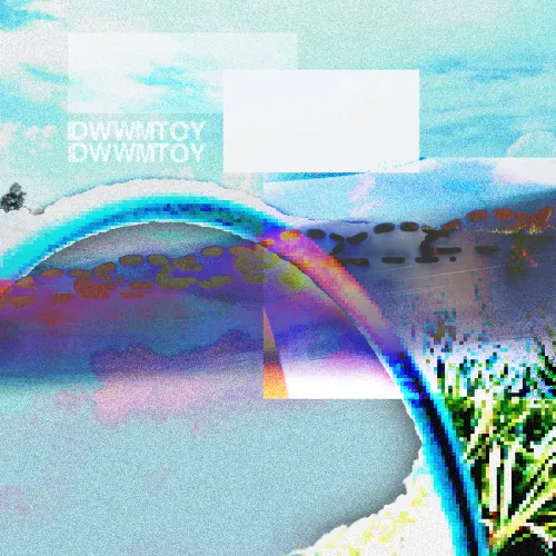 IDWWMTOY Album Cover