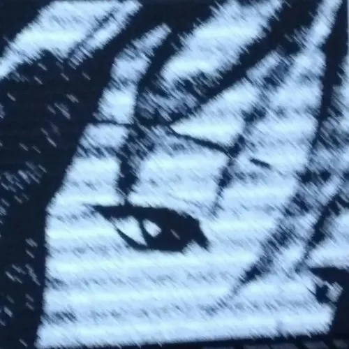 4you Album Cover