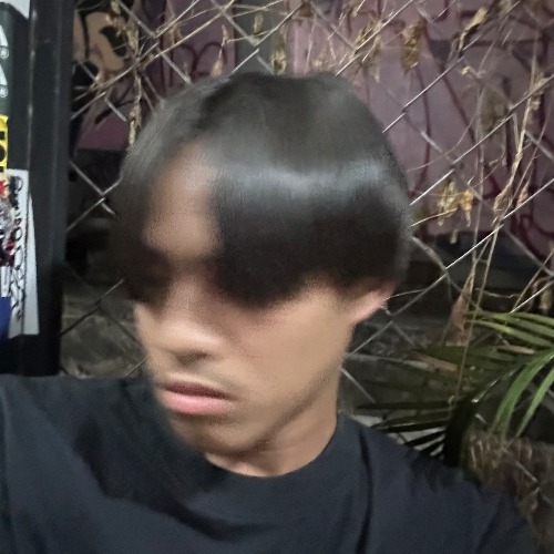 1vvibrs Album Cover