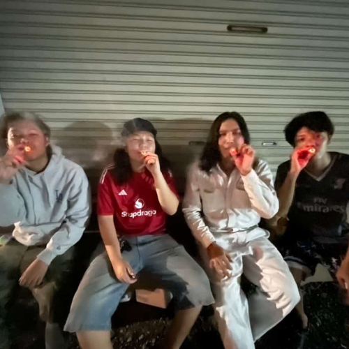 420FREESTLYE Album Cover