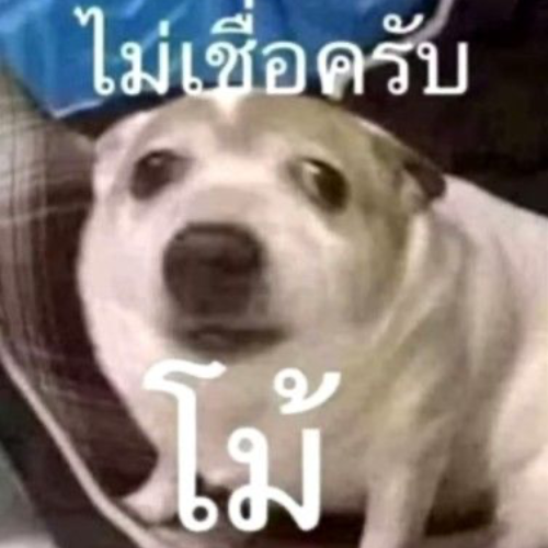 เพลงนี้ด่า ขอแค่อย่าตัดสินกัน Album Cover