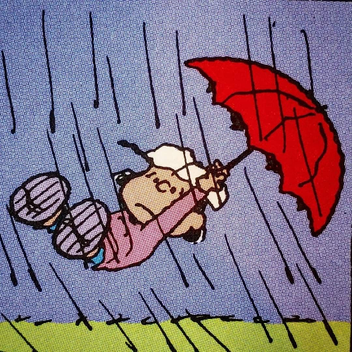 ฝนตก Album Cover