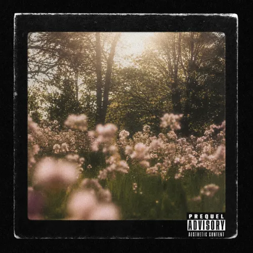 Sesk - U my world Feat. Dxrty Album Cover