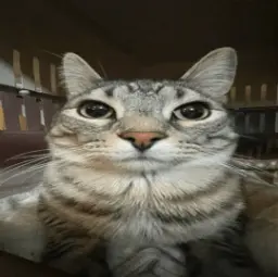 @RIAZER_doew