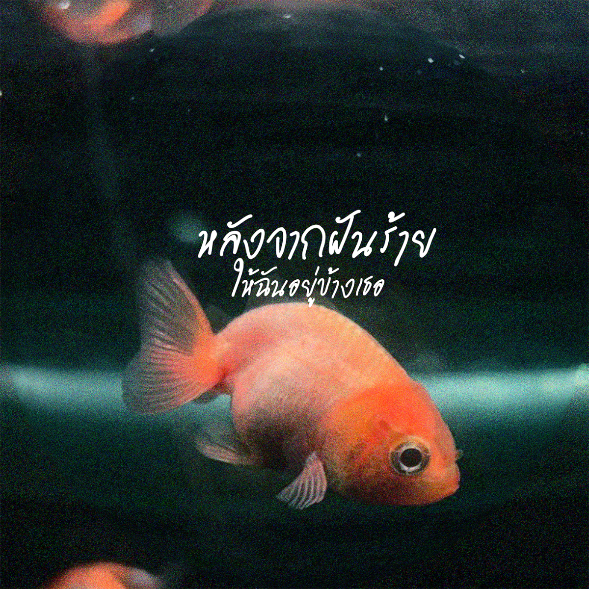 ฝากเพลงใหม่ วง EYESUN หลังจากฝันร้าย (ให้ฉันอยู่ข้างเธอ) ด้วยครัช