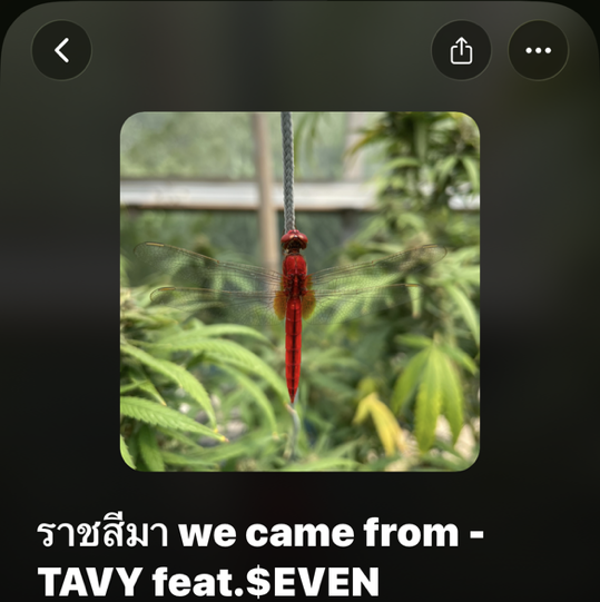 ปล่อยเพลงใหม่ค้าบบบ