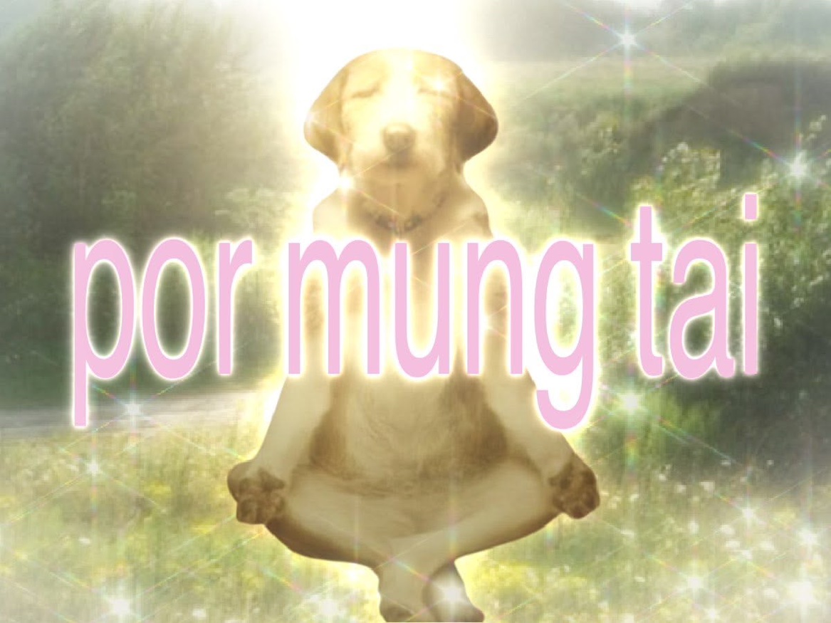 Chillin.mp3 Album Cover