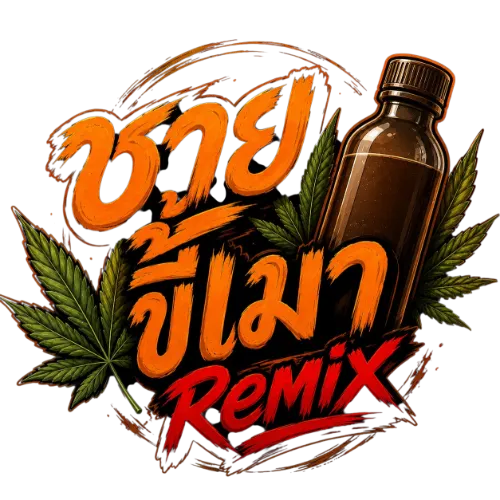 ชายขี้เมา Remix Album Cover